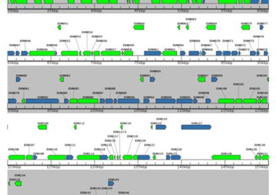 Mechanistic constraints in the acquisition of variation